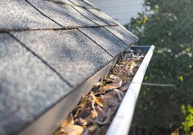 雨どいの詰まり